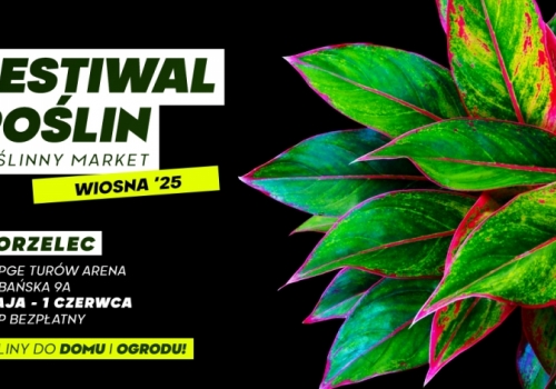 Festiwal Roślin